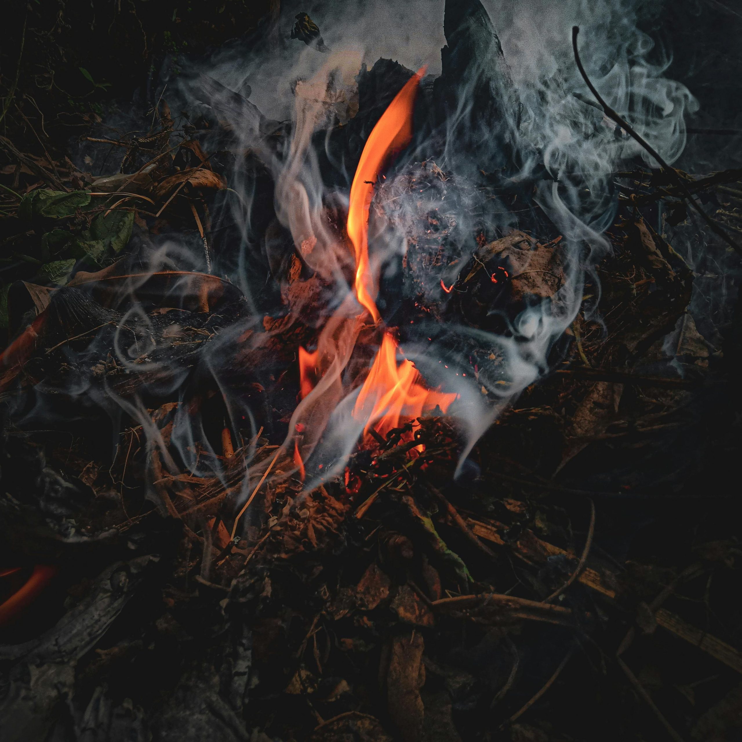 A captivating close-up shot of a bonfire with vibrant flames and swirling smoke.